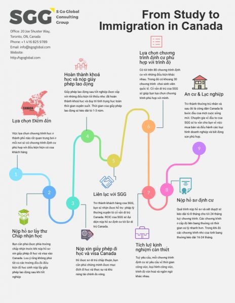 Infographic Quá Trình Du Học Tới Định Cư Canada - Immigrate To Canada